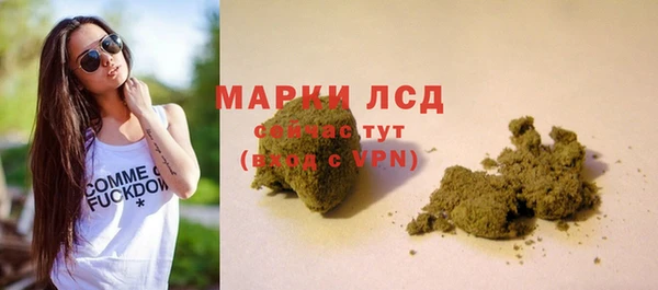 шишки Аркадак