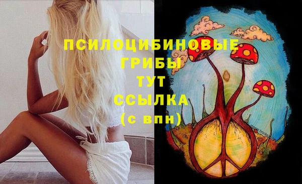 шишки Аркадак