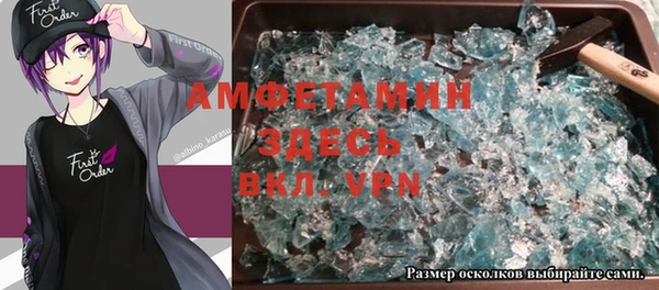 шишки Аркадак