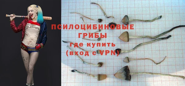 ГАЛЛЮЦИНОГЕННЫЕ ГРИБЫ Армянск